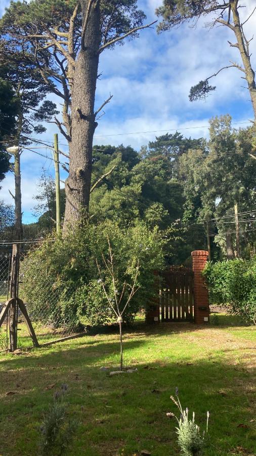 Cabaña Alpina Del Bosque!